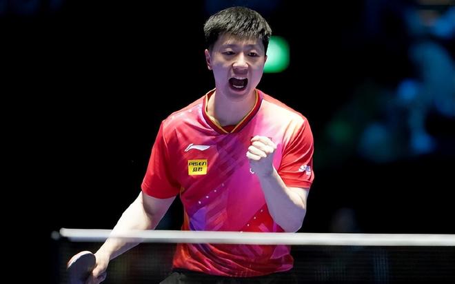 提供了丰富 提供了丰富